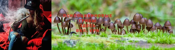 MDMA Premium VHQ Богородицк