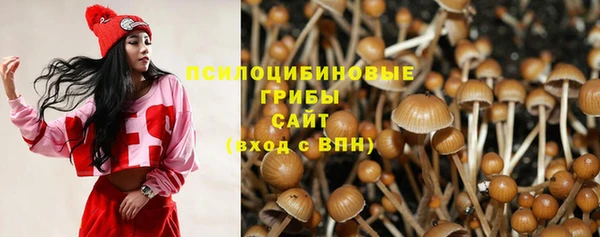 COCAINE Богданович